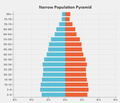 Narrow Population Pyramid