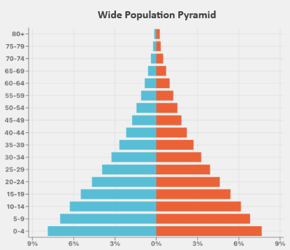 Wide Population Pyramid